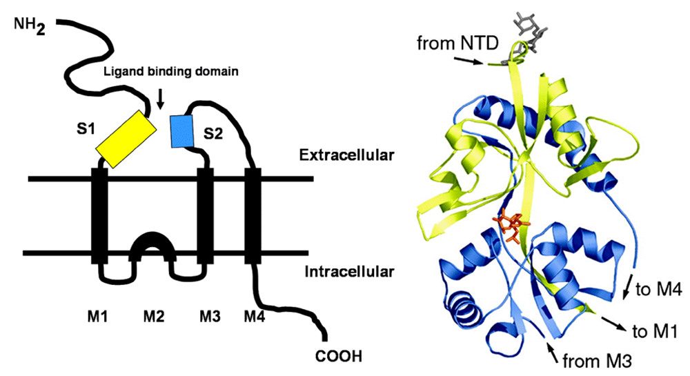 Toxins 02 01646 g002