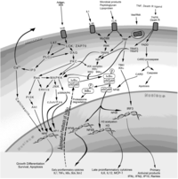 Toxins 02 01963 g002 200