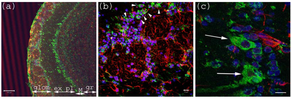 Toxins 02 01997 g001 1024