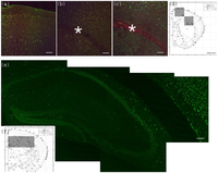 Toxins 02 01997 g002 200