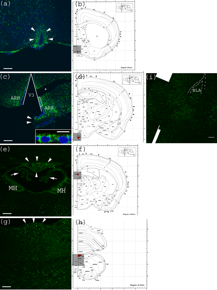 Toxins 02 01997 g004 1024