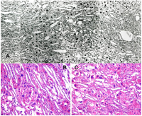 Toxins 02 02083 g001 200