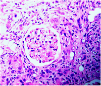 Toxins 02 02083 g004 200