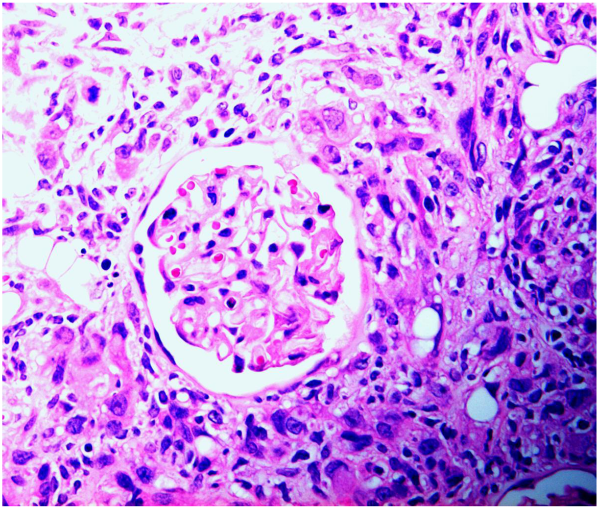 Toxins 02 02083 g004