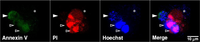 Toxins 02 02158 g001 200