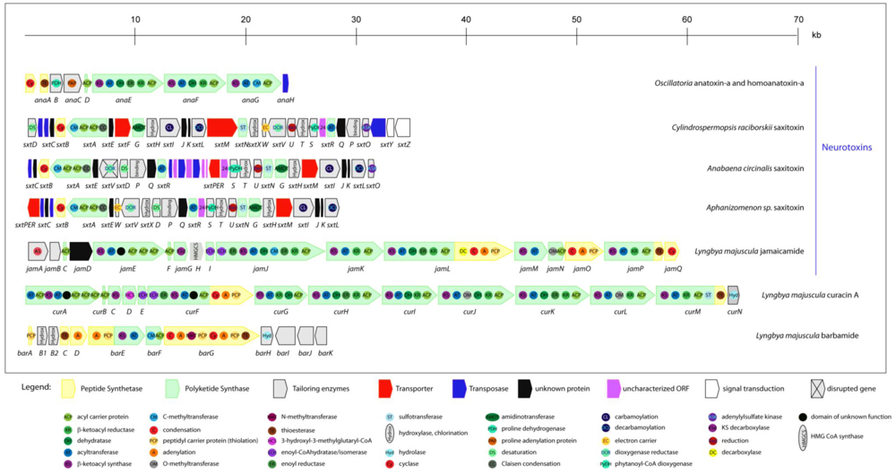 Toxins 02 02359 g006
