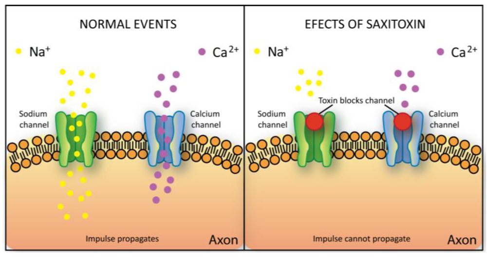 Toxins 02 02359 g007