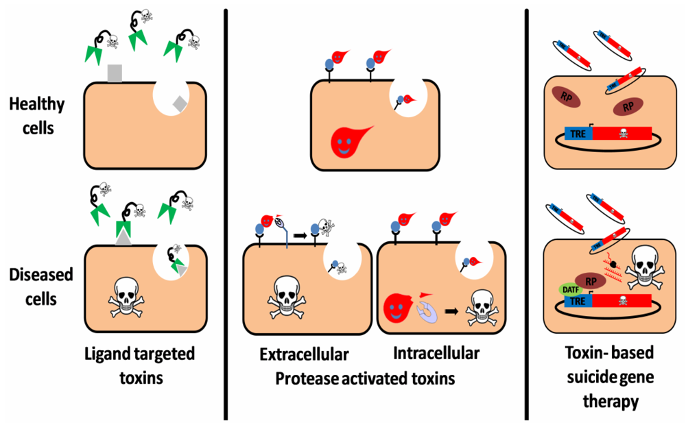 Toxins 02 02519 g001 1024