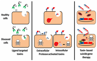 Toxins 02 02519 g001 200