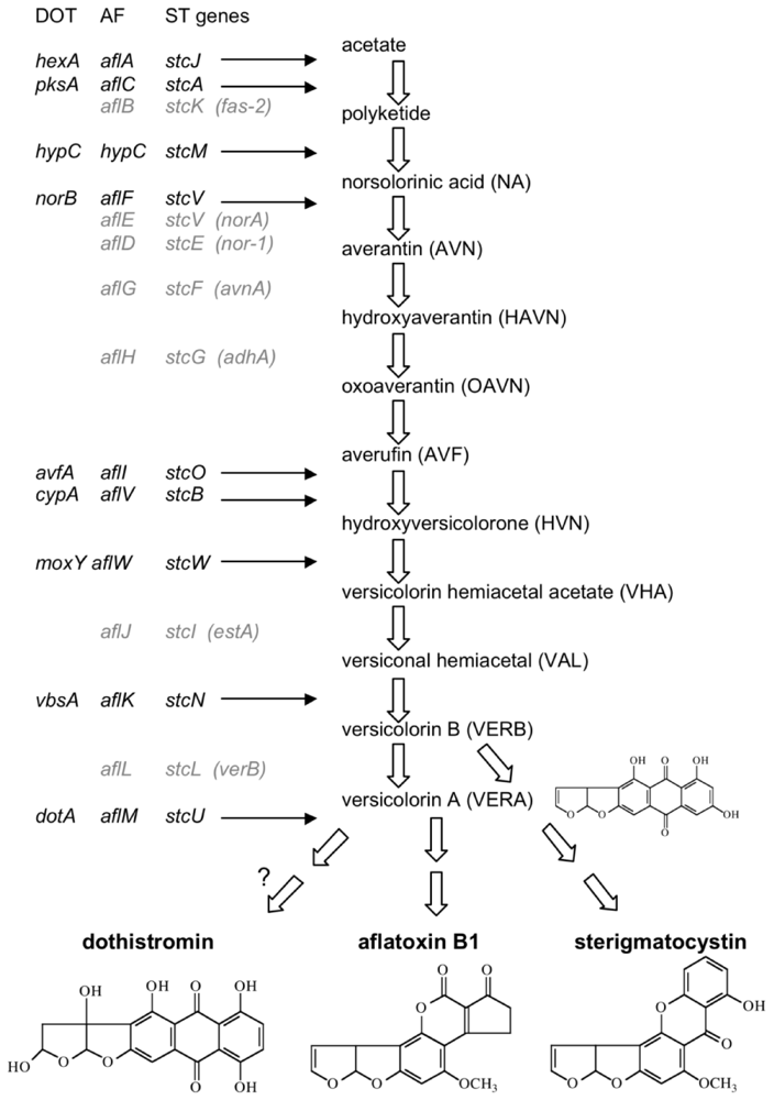 Toxins 02 02680 g001 1024