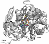 Toxins 02 02699 g003 200