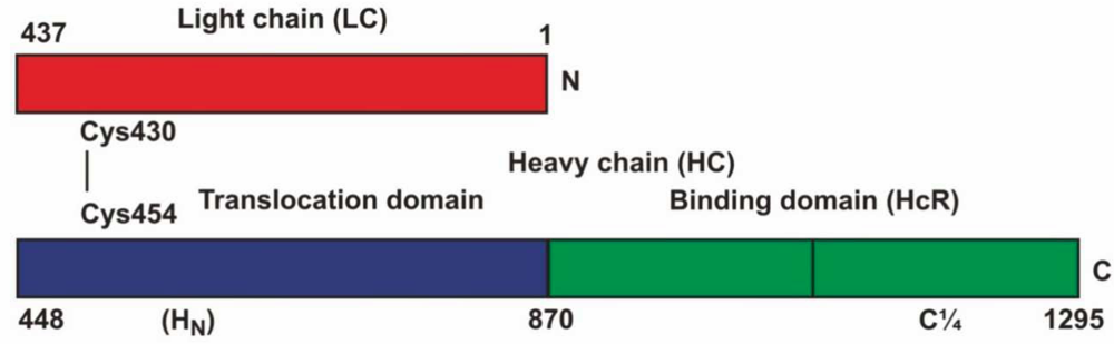 Toxins 02 02872 g001 1024