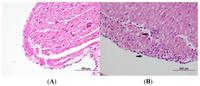 Toxins 03 00721 g005 200