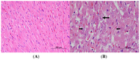 Toxins 03 00721 g007 200