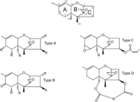 Toxins 03 00802 g001 200