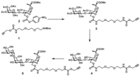 Toxins 03 01065 g002 200
