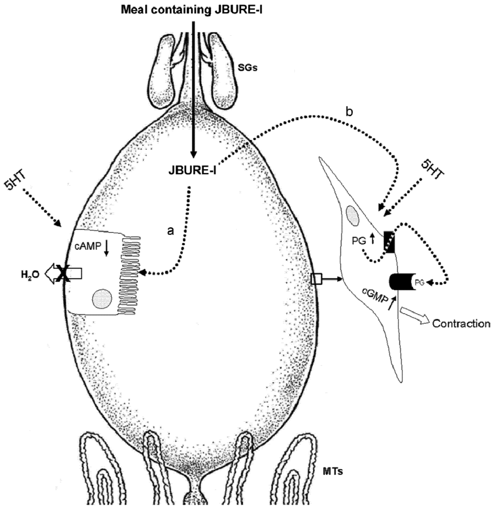 Toxins 04 00055 g001 1024