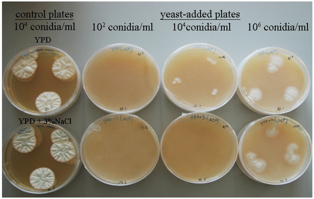 Toxins 04 00068 g001 1024