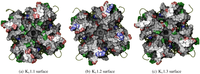 Toxins 04 00110 g001 200