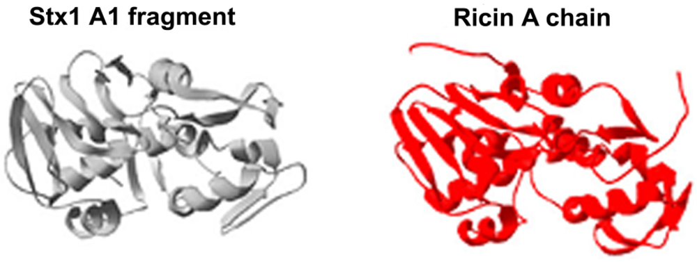 Toxins 04 00157 g001 1024