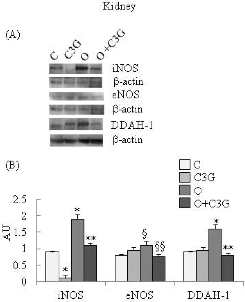 Toxins 04 00353 g001 1024