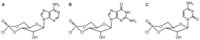 Toxins 04 00505 g001 200