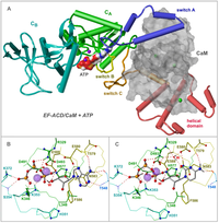 Toxins 04 00505 g005 200