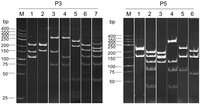 Toxins 04 00554 g001 200