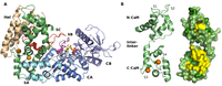 Toxins 04 00580 g001 200
