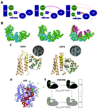 Toxins 04 00580 g003 200