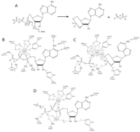 Toxins 04 00580 g004 200