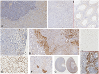Toxins 04 00643 g001 200