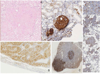Toxins 04 00643 g002 200