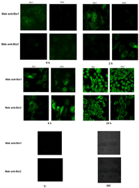 Toxins 04 00729 g003 200