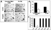 Toxins 04 00862 g004 200