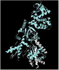 Toxins 04 00878 g001 200