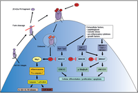 Toxins 04 00878 g002 200