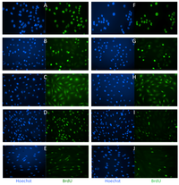Toxins 04 00940 g001 200