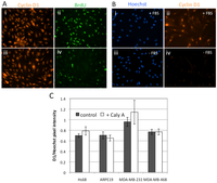 Toxins 04 00940 g003 200