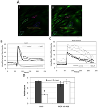 Toxins 04 00940 g006 200