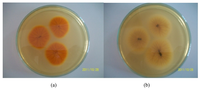 Toxins 04 00991 g001 200