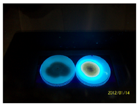 Toxins 04 00991 g003 200