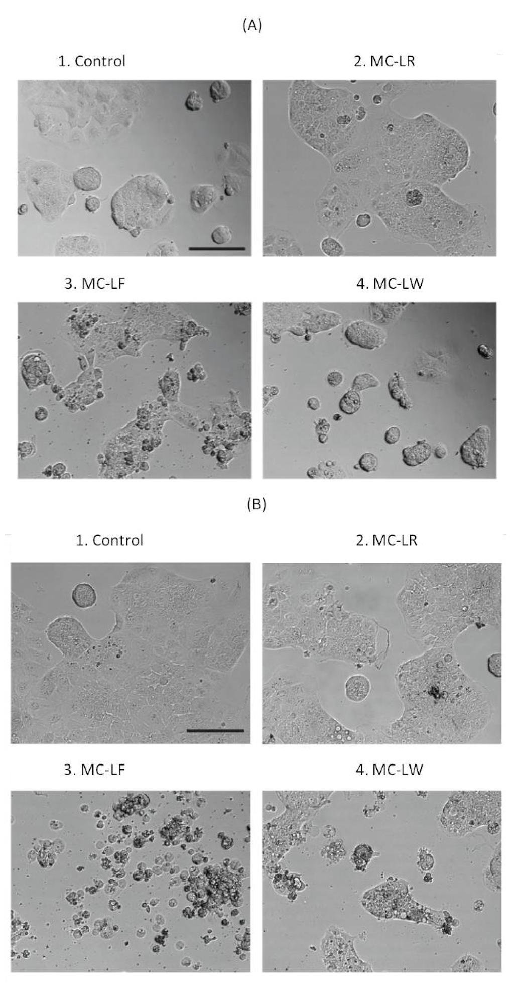 Toxins 04 01008 g001 1024