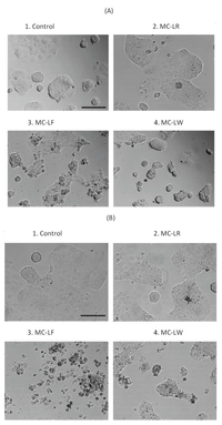 Toxins 04 01008 g001 200