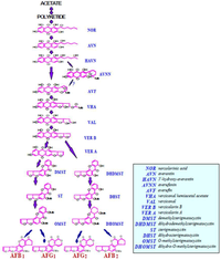 Toxins 04 01024 g002 200