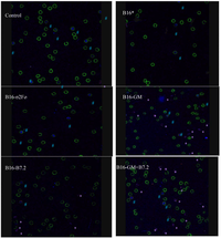 Toxins 04 01058 g010 200