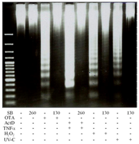 Toxins 04 01139 g006 200