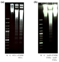 Toxins 04 01139 g007 200
