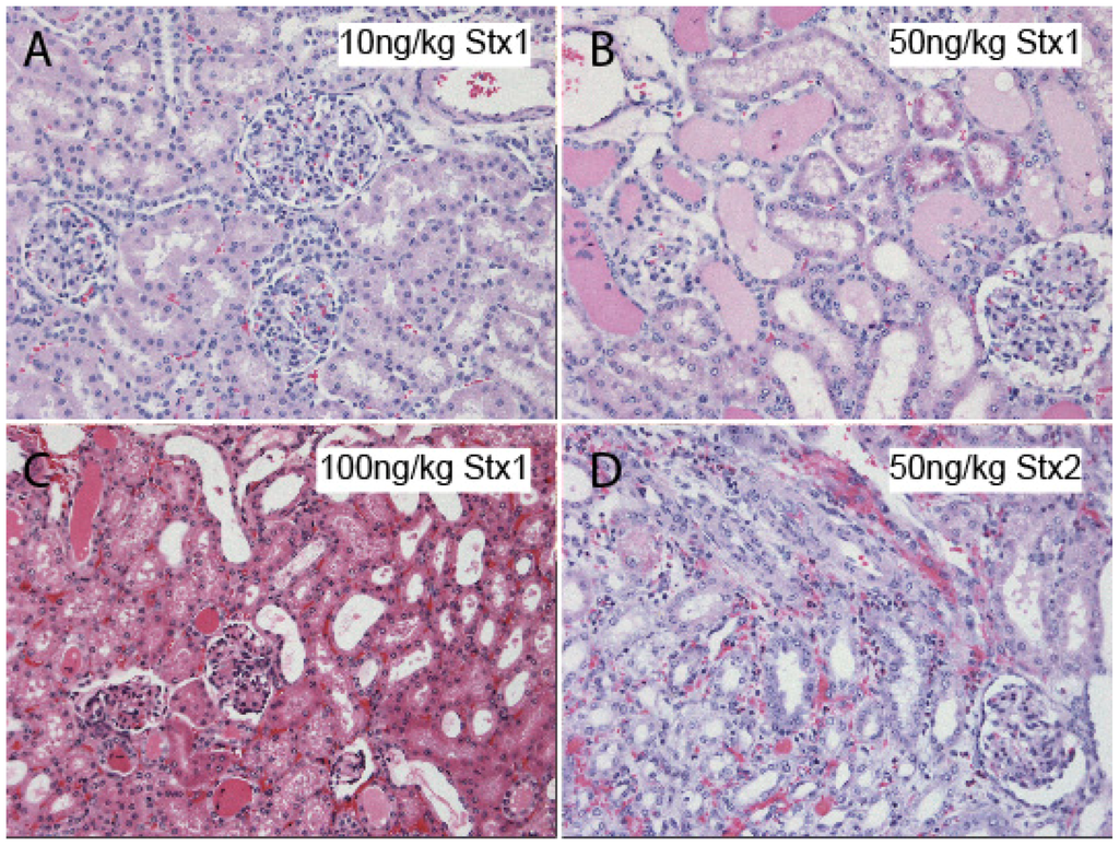Toxins 04 01261 g003 1024