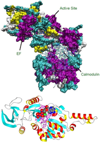 Toxins 04 01288 g001 200